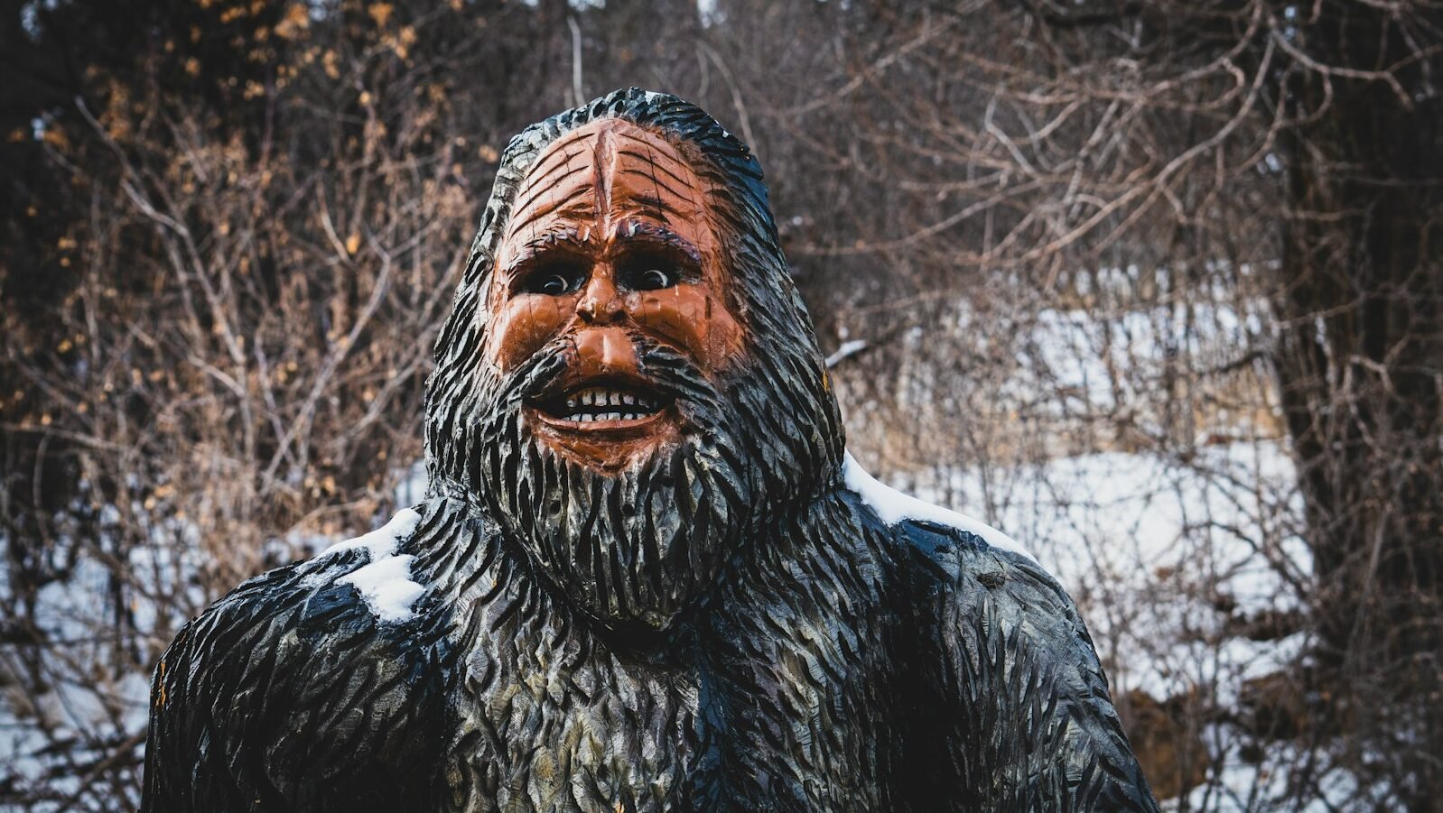a person with a beard