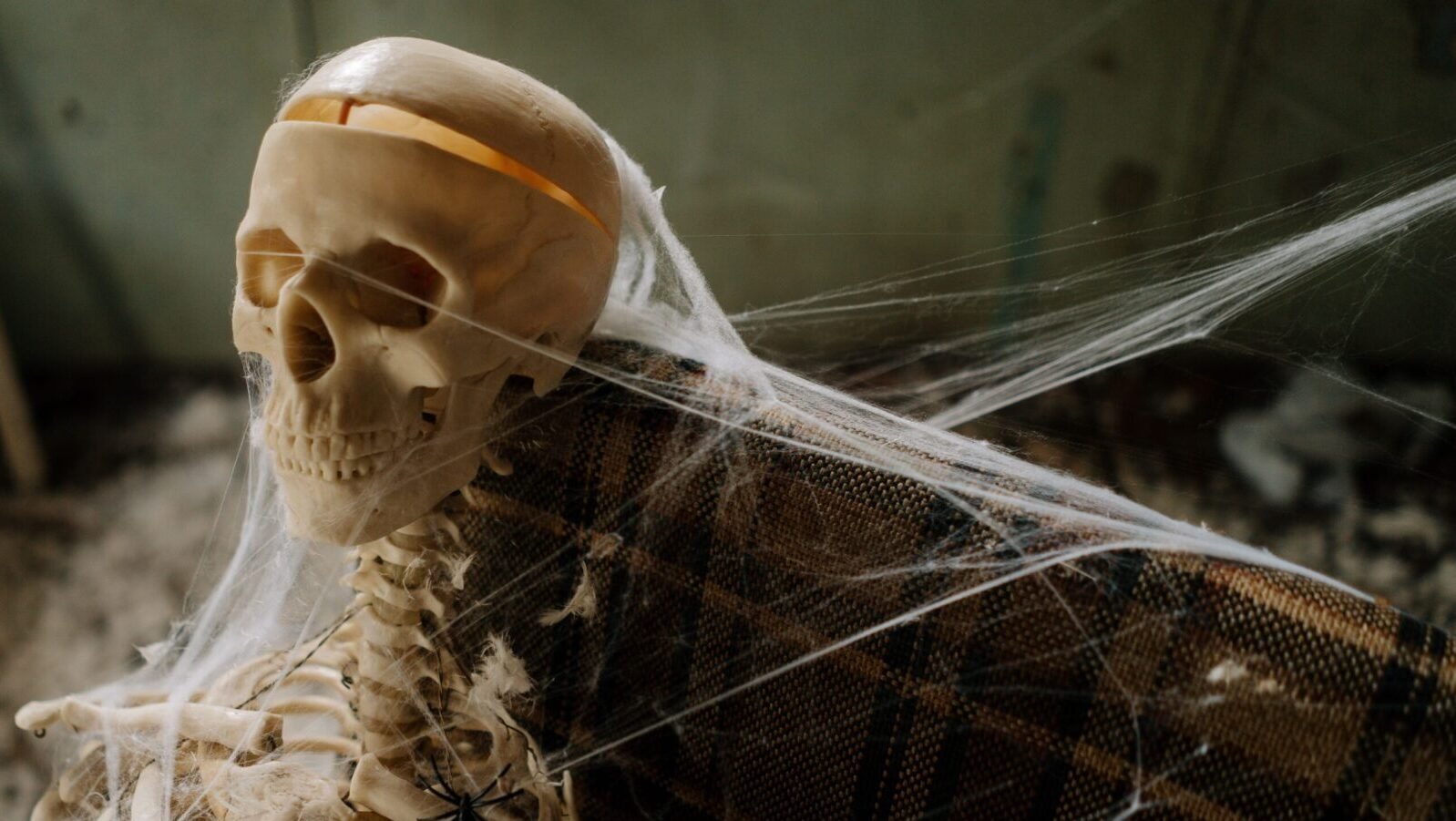 Eerie skeleton in cobwebs, perfect for Halloween-themed settings.