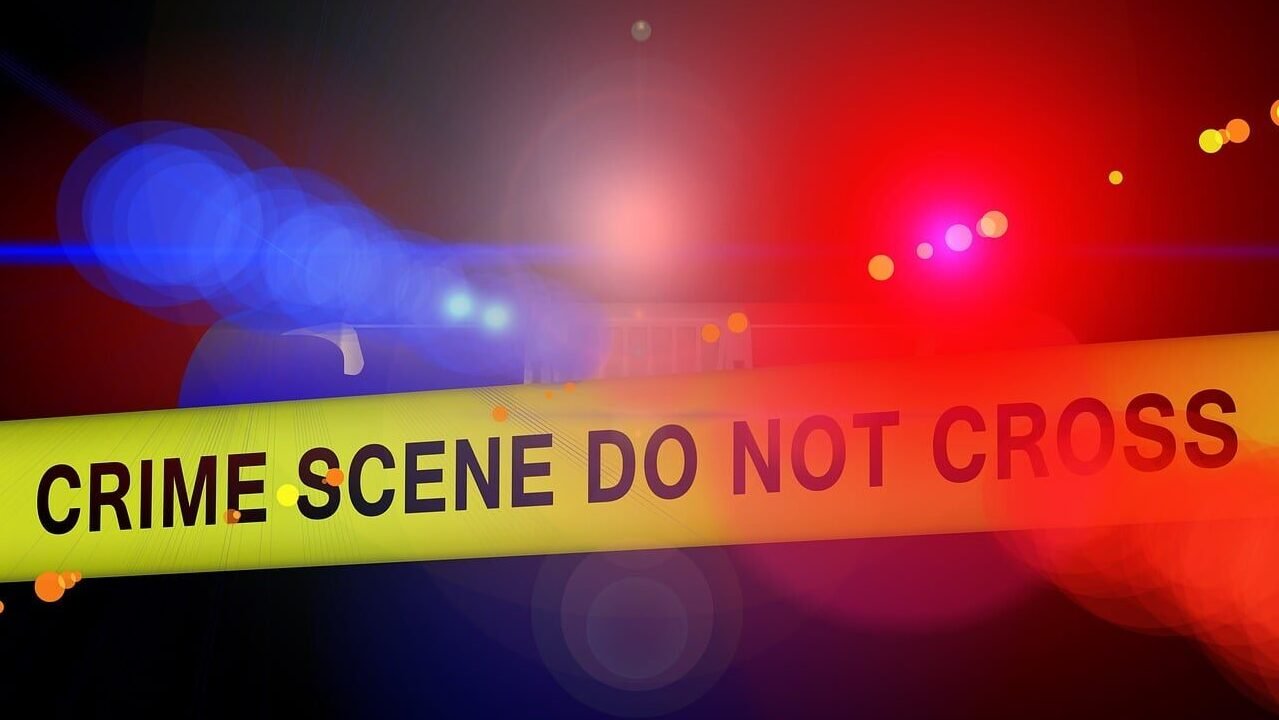 police, crime scene, blue light, detection, criminal case, crime, did, capital crime, examination, sense